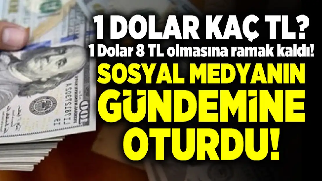 1 Dolar kaç TL? 1 Dolar 8 TL olmasına ramak kaldı! Sosyal medyanın gündemine oturdu!