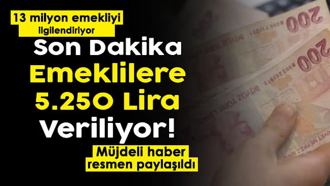 13 milyon emekliyi ilgilendiren güzel haber geldi: Tüm emeklilere 5 bin 250 lira veriliyor