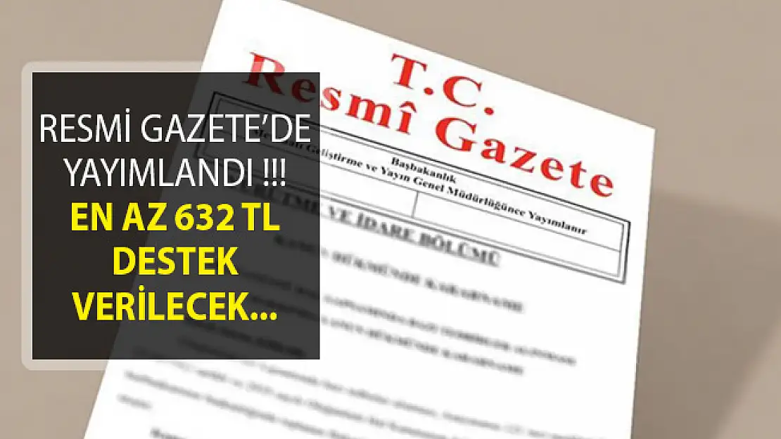 2019 Yılı Devlet Özel Eğitim Desteği Tutarları Belli Oldu! Resmi Gazete'de Yayımlandı!