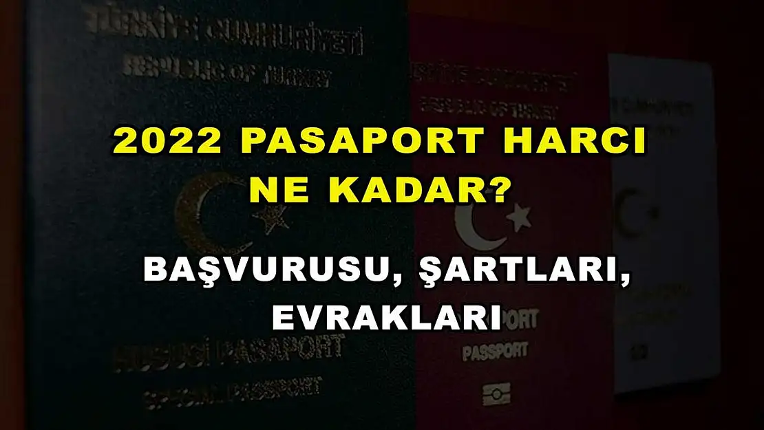 2022 Pasaport Harcı Ne Kadar? Başvurusu, Şartları, Evrakları
