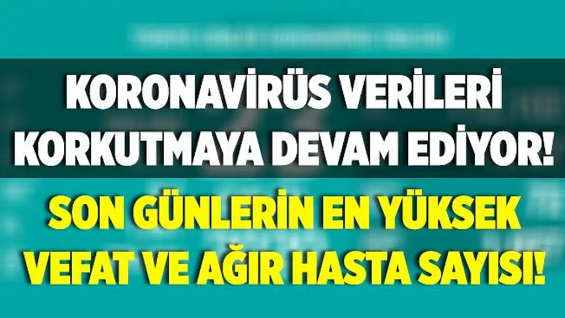 23 Eylül koronavirüs verileri açıklandı! Veriler hiç iç açıcı değil!