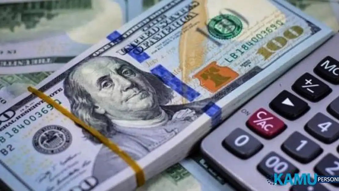 25 Temmuz 2019 Dolar ve Euro Fiyatları (Merkez Bankası Faiz Kararı Öncesi)