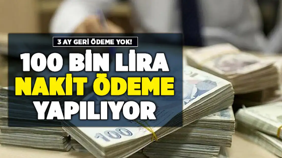 3 ay geri ödemesiz 100 bin lira veriliyor! Başvurular resmen başladı
