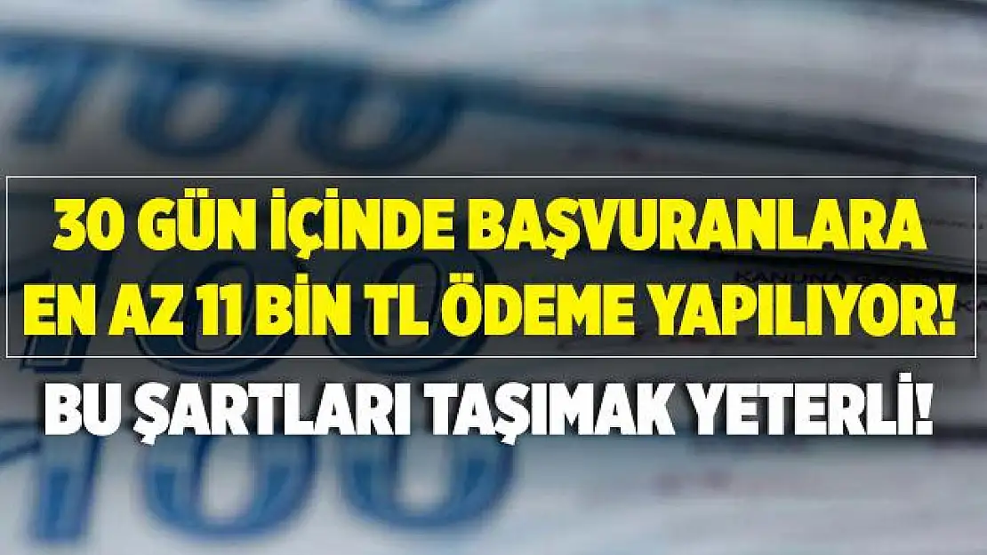 30 gün içinde başvuranlara en az 11 bin TL ödeme yapılıyor! Bu şartları taşımak yeterli!