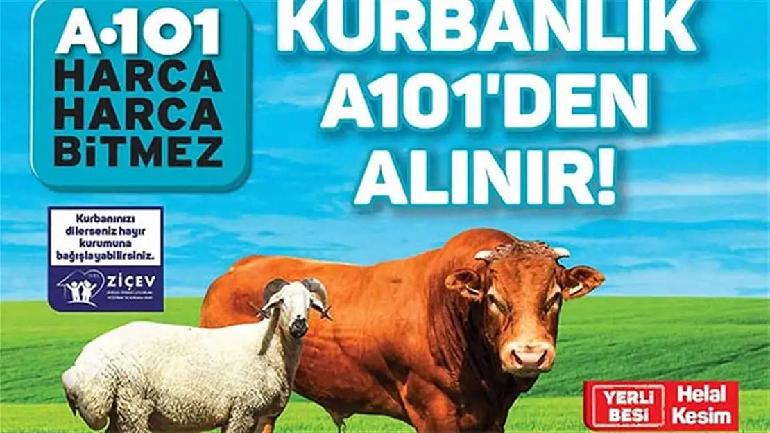 A101 KURBANLIK FİYATLARI BELLİ OLDU