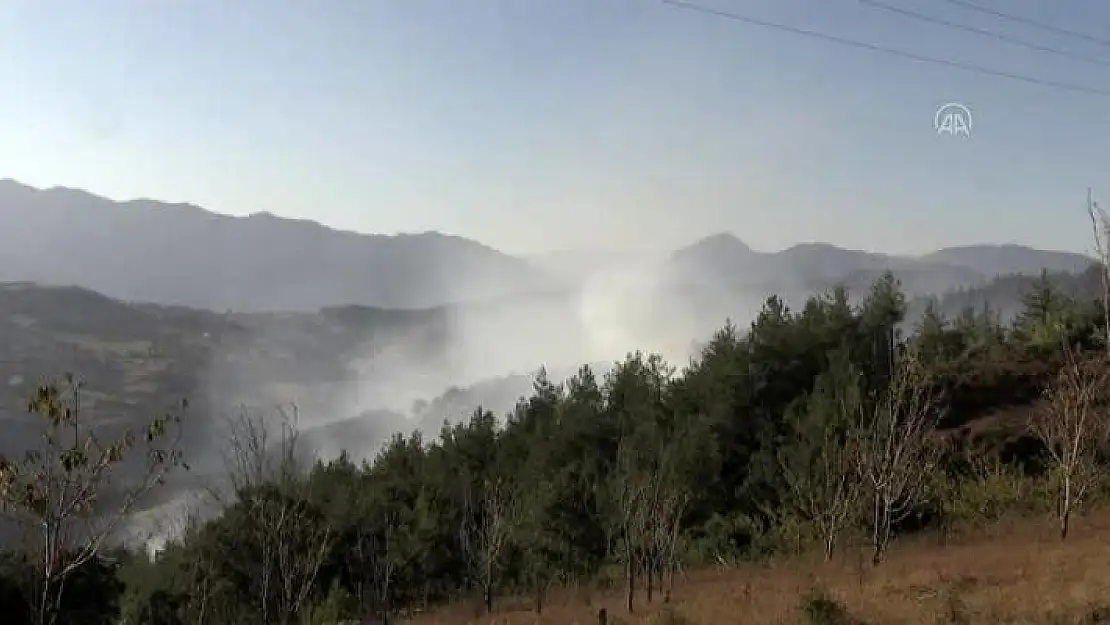 Adana'nın Kozan ilçesinde ormanlık alanda yangın!