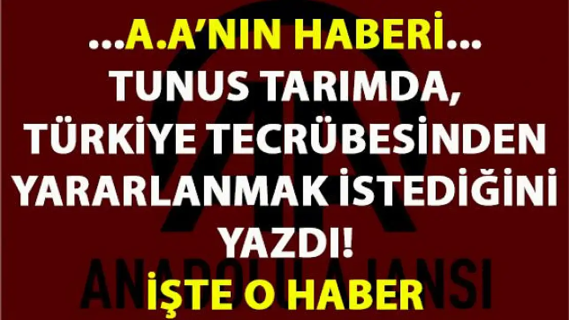 Anadolu Haber Ajansı (AA) , 'Tunus tarımda, Türkiye tecrübesinden yararlanmak istiyor' diye yazdı