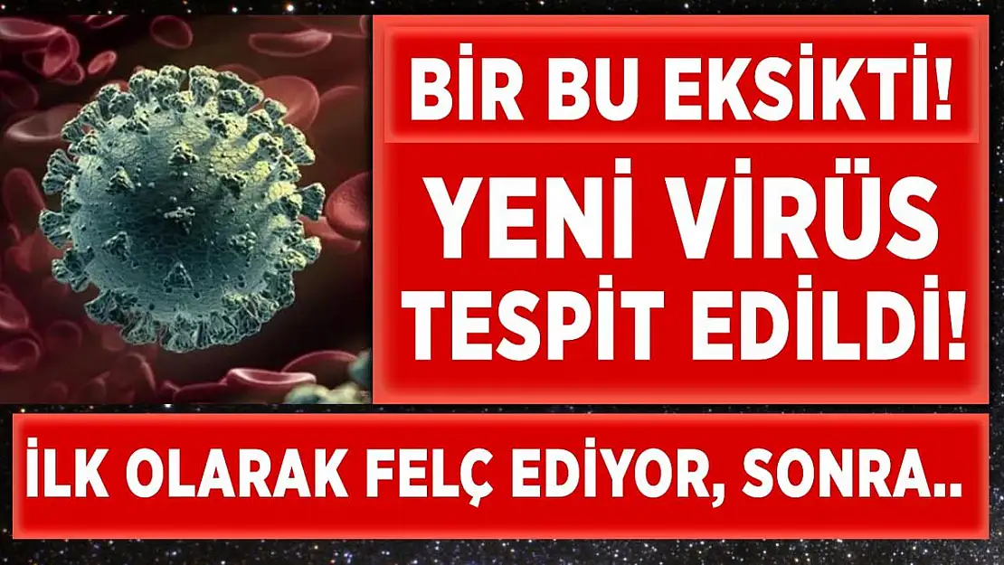 Araştırmalar sonucunda yeni virüs bulundu! İlk olarak felç ediyor sonra öldürüyor!
