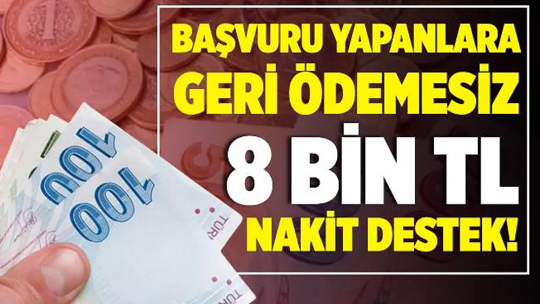 Başvuru yapanlara geri ödemesiz 8 bin lira nakit para desteği veriliyor! Ödemeler bir sonraki ay hesaplarda!
