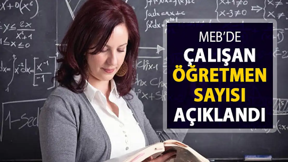 Çalışan Öğretmen Sayısı Açıklandı !