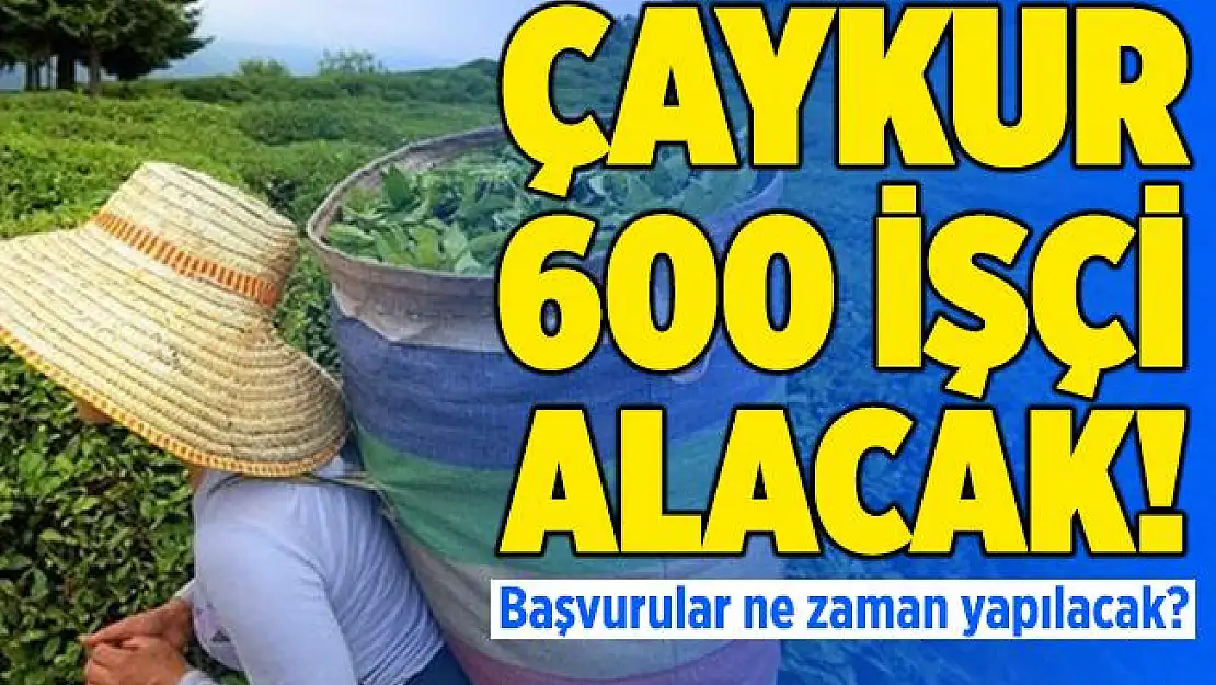 ÇAYKUR 600 mevsimlik işçi alacak! ÇAYKUR personel alımı 2020
