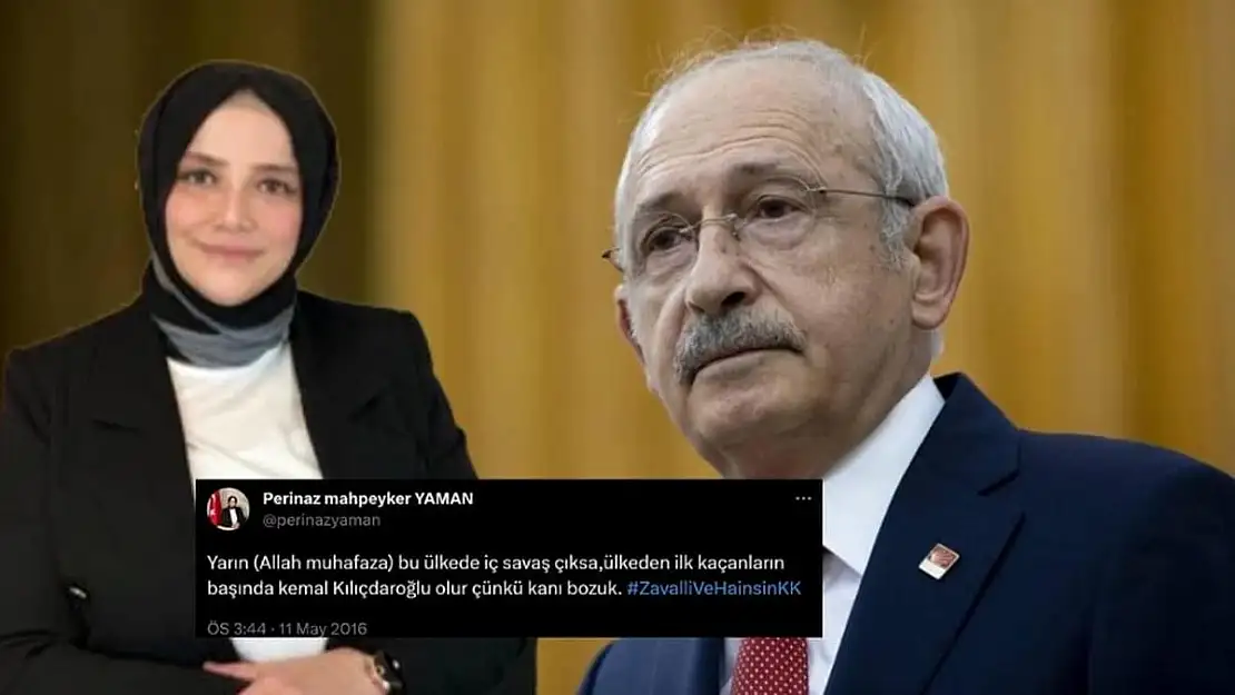 CHP'nin ilginç danışmanı: Perinaz Yaman