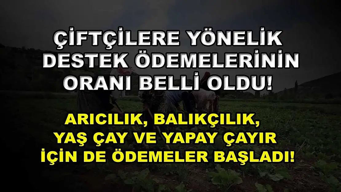 Çiftçilere yönelik destek ödemelerinin oranı belli oldu! Arıcılık, balıkçılık, yaş çay ve yapay çayır için de ödemeler başladı!
