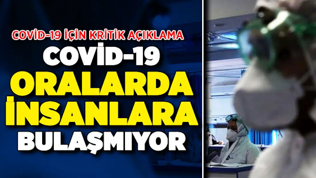Corona Virüsü Hakkında Flaş Açıklama ! Oralarda Virüs Bulaşmıyor