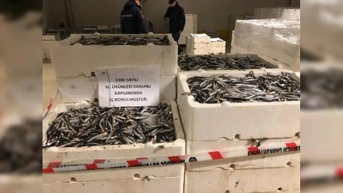 Denetim Yapıldı:  53 Ton Balığa El Koyuldu!