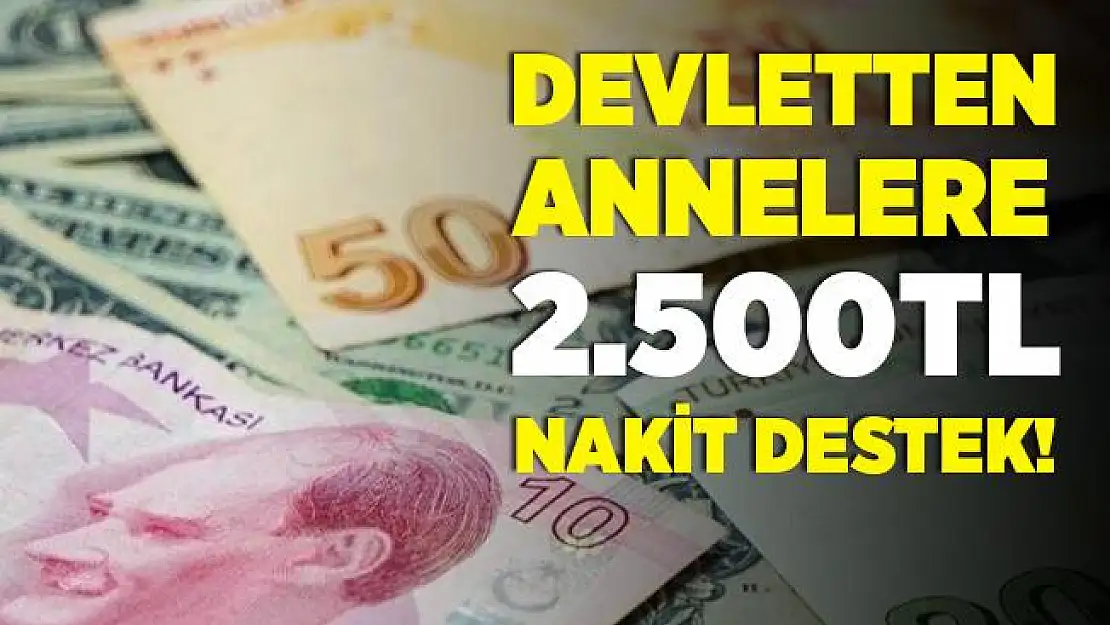 Devletten annelere 2.500 TL yardım! 2.500 TL yardım şartları nelerdir? Kimler başvurabilir?