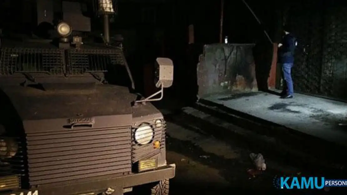 Diyarbakır Lice'de Operasyon: 2 Terörist Etkisiz Hale Getirildi