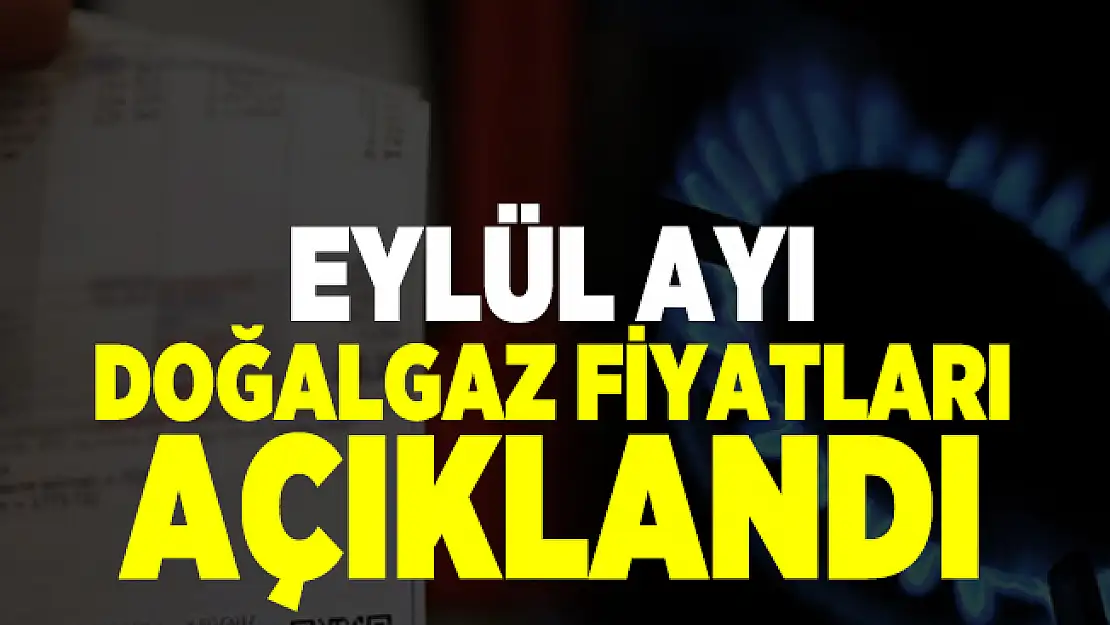 Doğalgaz müjdesinin ardından Eylül ayı doğal gaz fiyatları açıklandı!