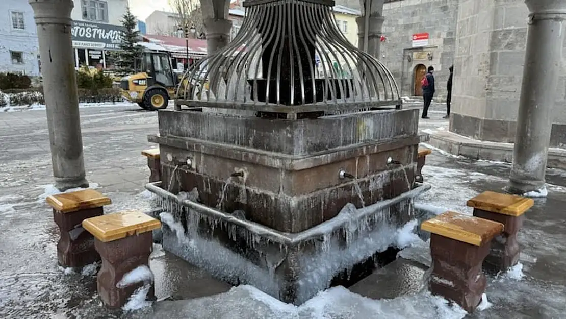 Doğu Anadolu'da Kışın Keskin Yüzü Erzurum, Ardahan ve Kars'ta Soğuk Havaların Etkisi'