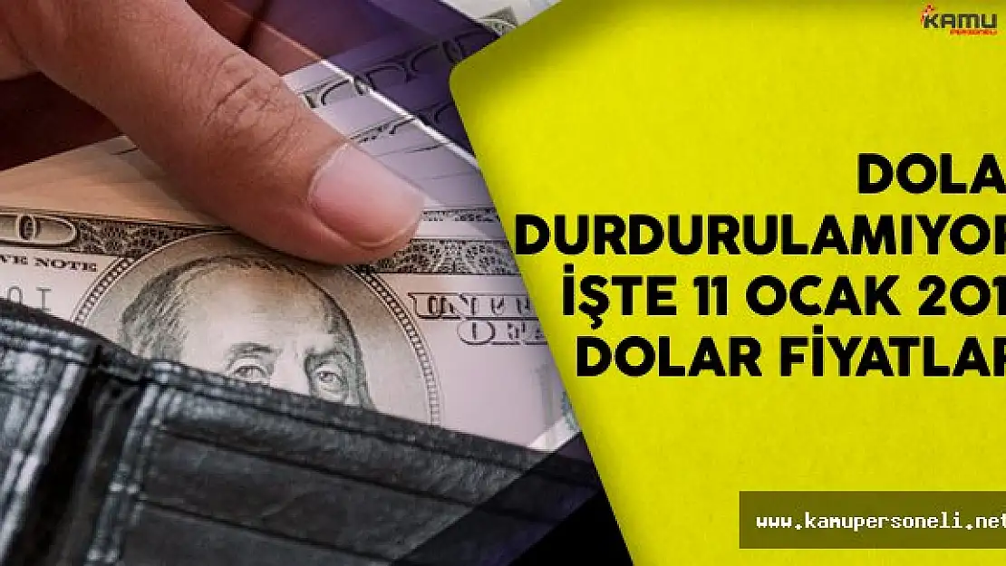 Dolar Durdurulamıyor! İşte 11 Ocak 2017 Dolar Fiyatları