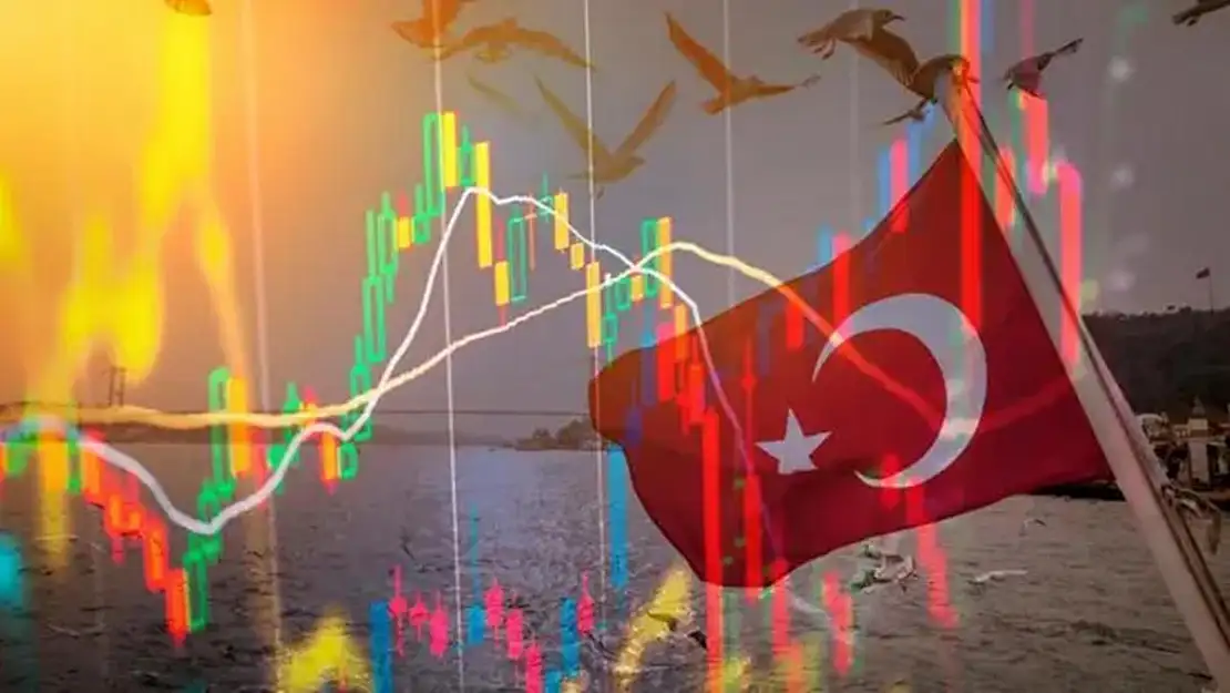 Ekonomi yazarı 'üzülerek söylüyorum' diyerek duyurdu: OVP beklentileri karşılayamadı