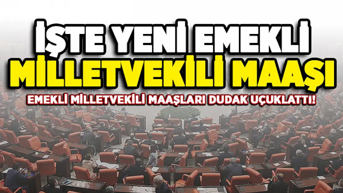 Emekli Milletvekili için belirlenen maaş dudak uçuklattı