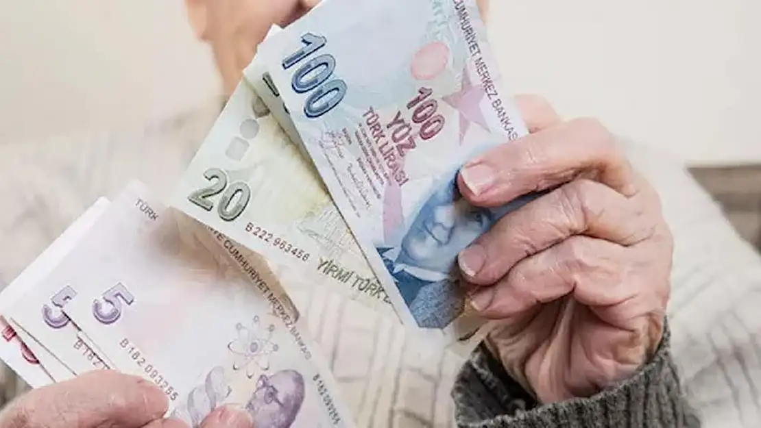 Emeklilik Sorunu: Nedenleri, Sonuçları ve Çözüm Önerileri