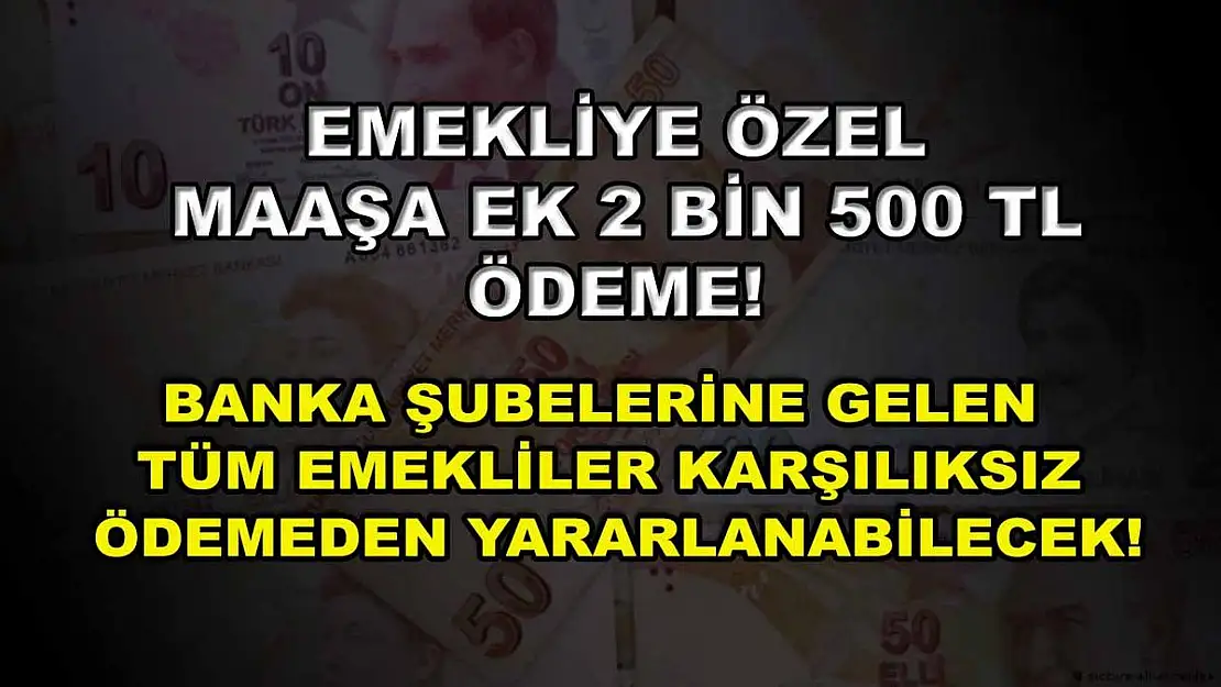 Emekliye özel maaşa ek 2 Bin 500 TL ödeme! Banka şubelerine gelen tüm emekliler karşılıksız ödemeden yararlanabilecek!
