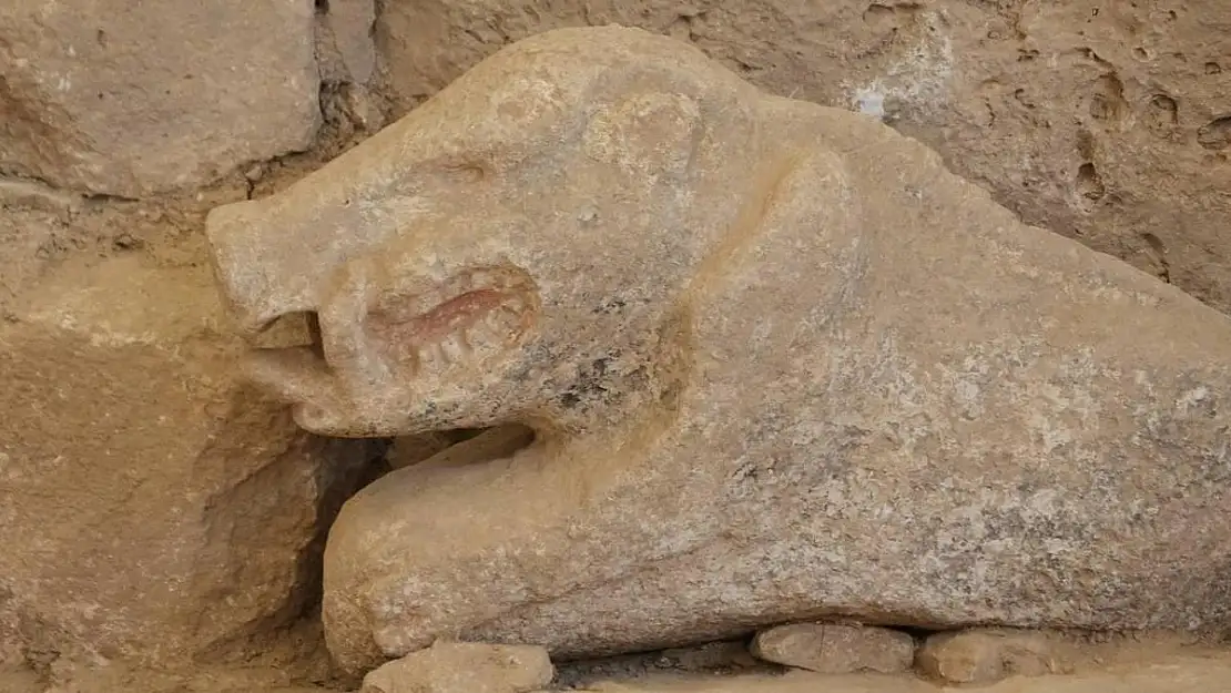 Göbeklitepe'de Tarihi Keşif: İlk Boyalı Yaban Domuzu Heykeli