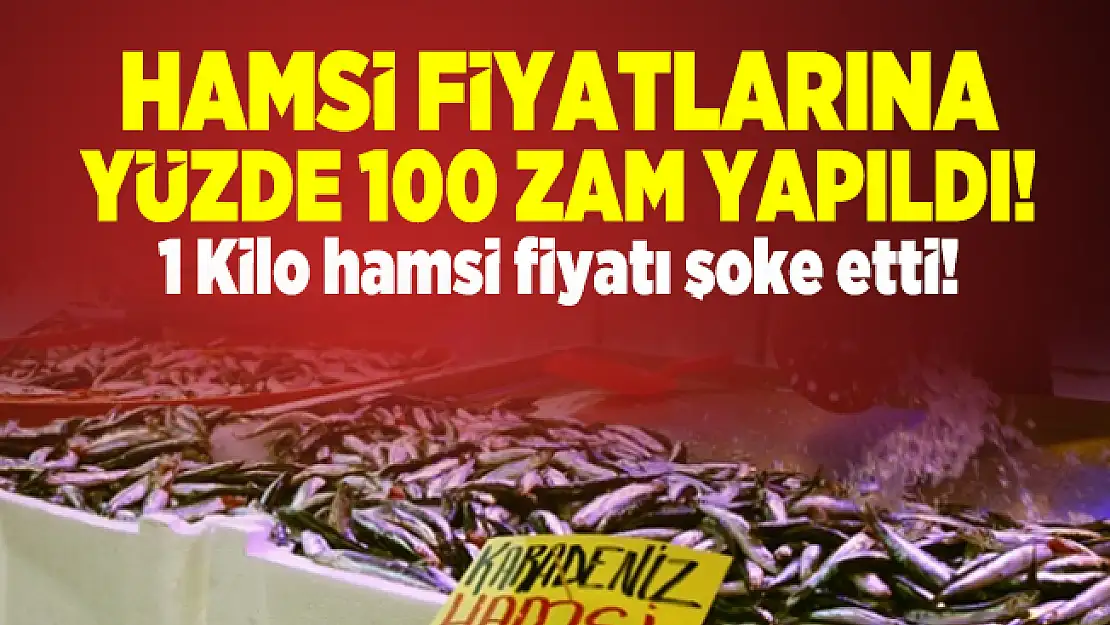 Hamsi fiyatlarına yüzde 100 zam yapıldı! 1 Kilo hamsi fiyatı şoke etti!
