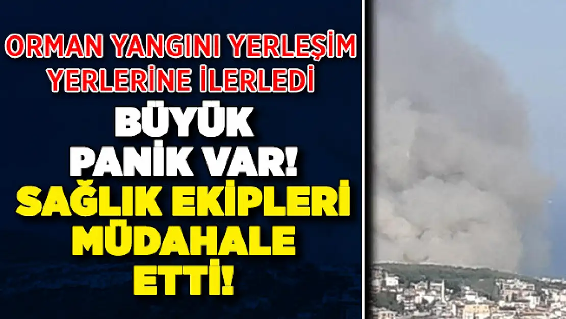 Hatay'da orman yangını yerleşim yerlerine ilerledi! Büyük panik yaşandı: Sağlık ekipleri müdahale etti