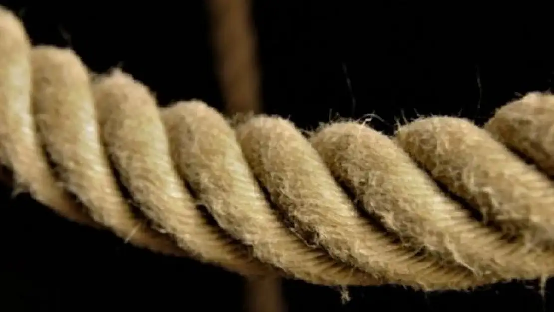 Herkes bunu araştırıyor! Domuz bağı nedir? Domuz bağı nasıl yapılır? Nasıl gündem oldu?