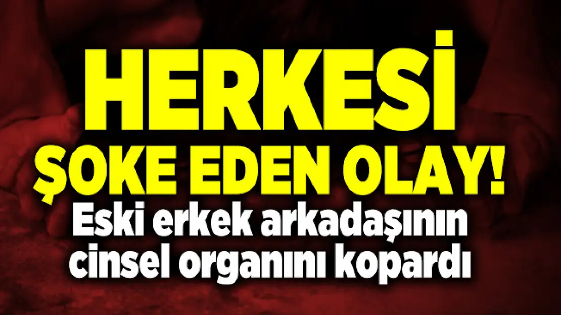 Herkesi şoke eden olay! Eski erkek arkadaşının cinsel organını kopardı