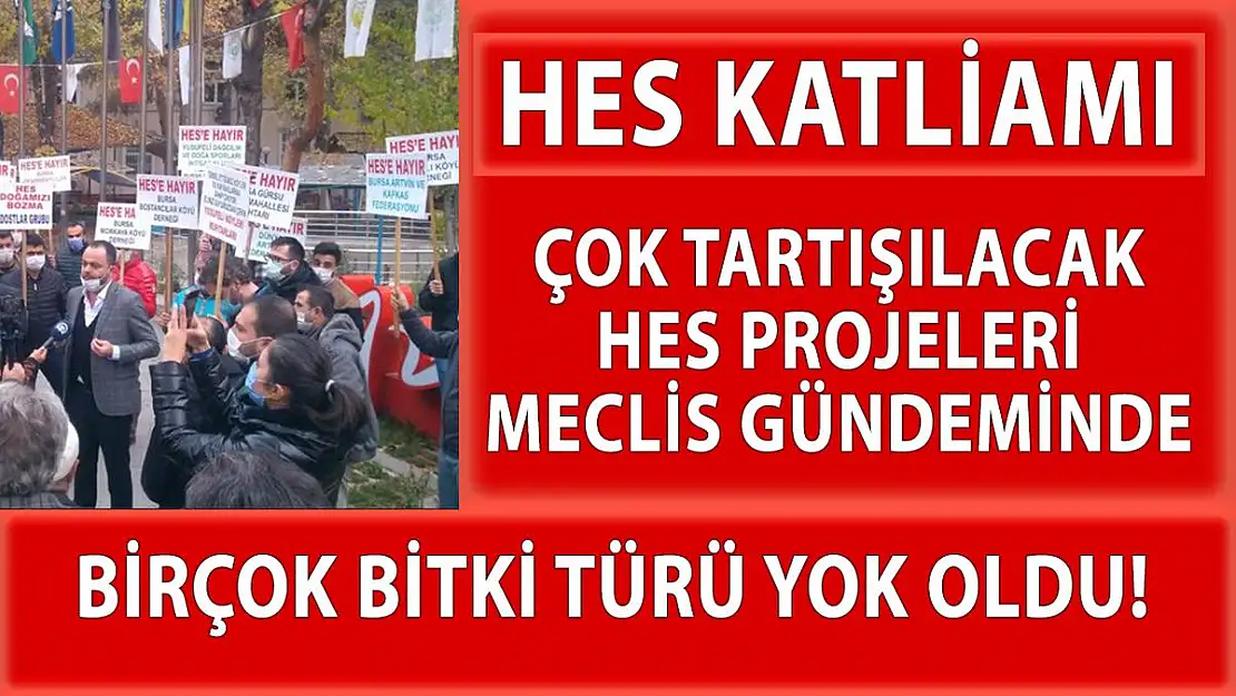 HES'ler hakkında korkunç gerçekler! Çığ gibi büyüyen HES projelerinin doğa verdiği tahribat meclis gündemine getirildi!