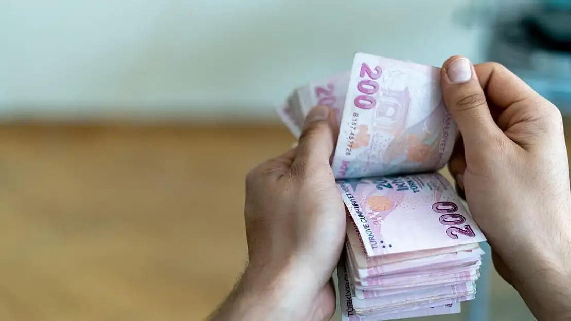 Hibe desteği başvuruları alınıyor! T.C. kimlik numarası sonu '2' olanlar bugün başvuracak!