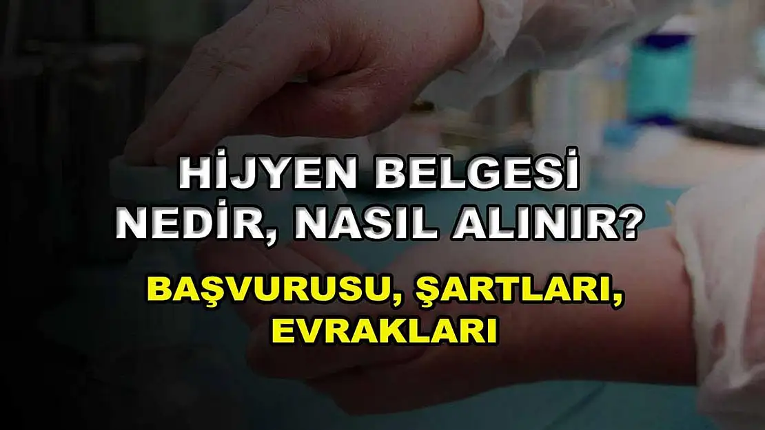 Hijyen Belgesi Nedir, Nasıl Alınır? Başvurusu, Şartlar ve Evraklar