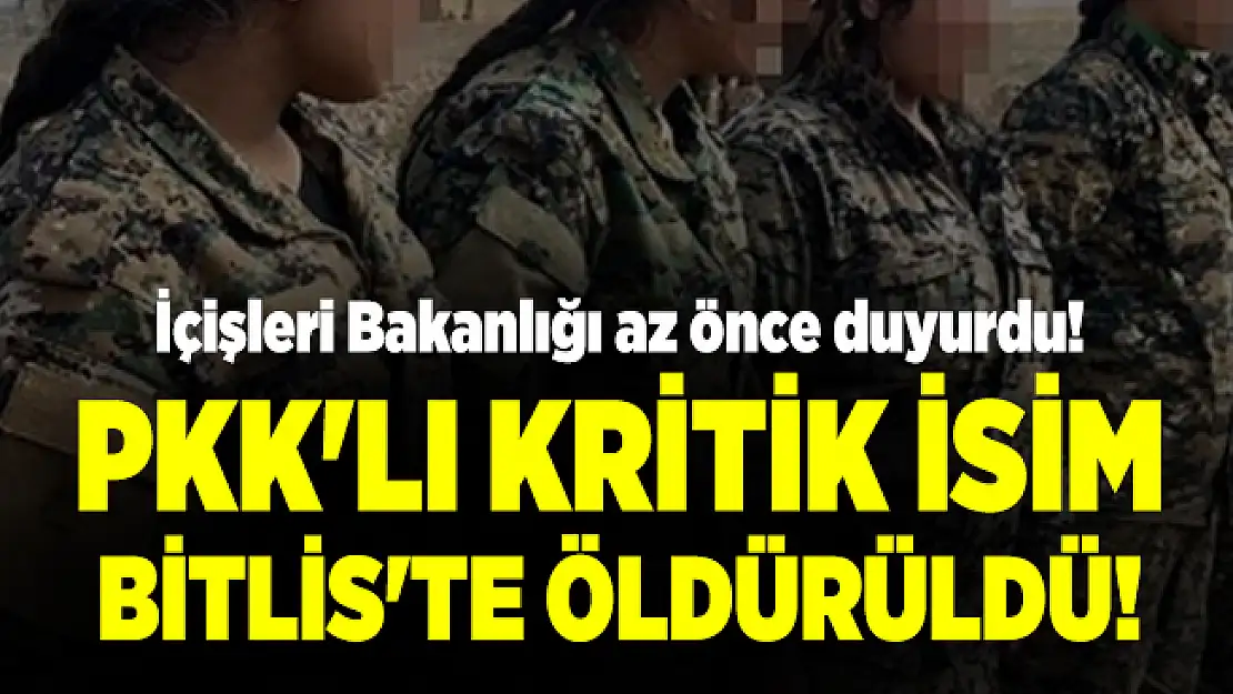 İçişleri Bakanlığı az önce duyurdu! PKK'lı kritik isim Bitlis'te öldürüldü!