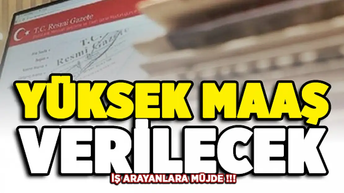 İş arayanlara Resmi Gazete'de müjde! Yüksek maaş verilecek