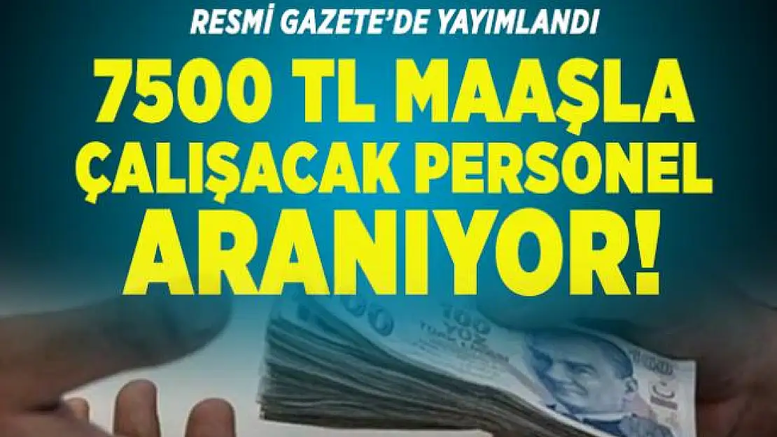 İstanbul Teknik Üniversitesi 7500 TL maaşla çalışacak personel arıyor!