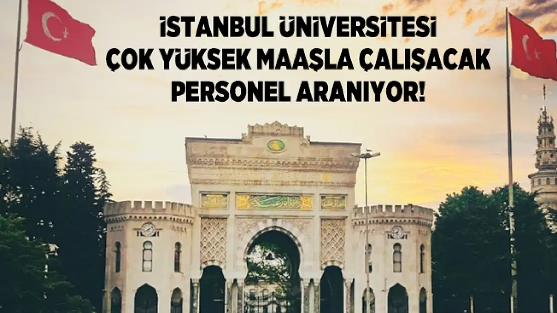 İstanbul Üniversitesi Çok yüksek maaşla çalışacak personel aranıyor!
