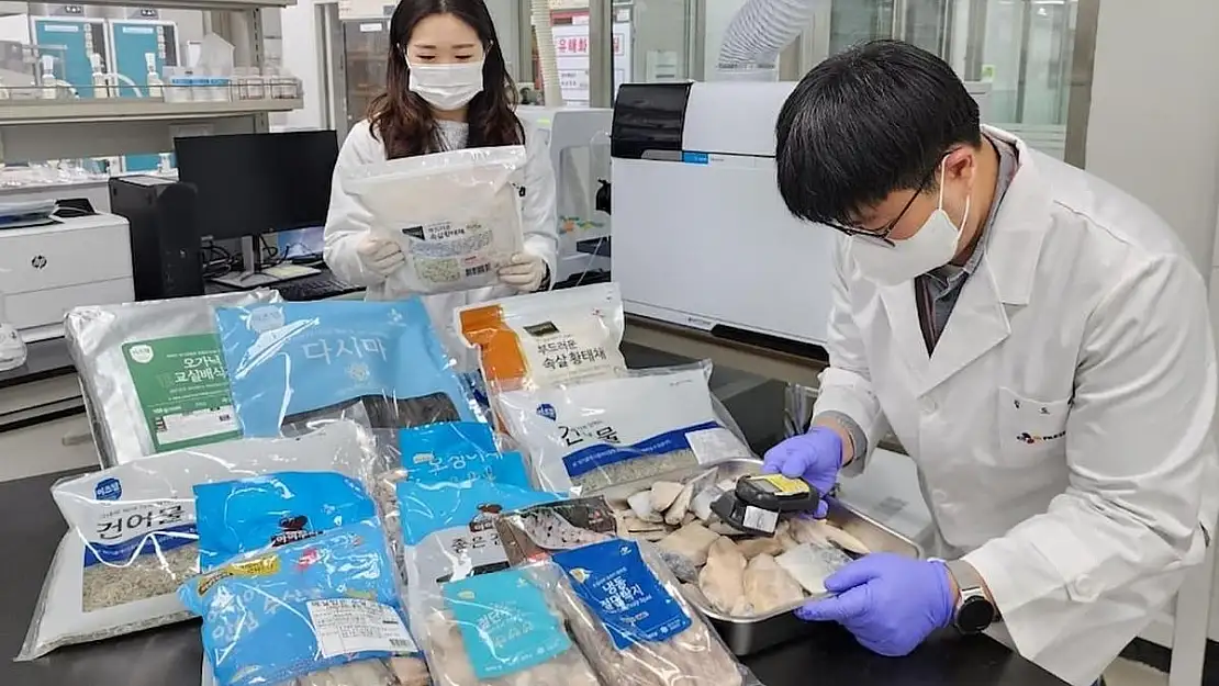 Japonya'da Kirli Suyun Deşarjı Deniz Ürünleri Sektörünü Etkiliyor