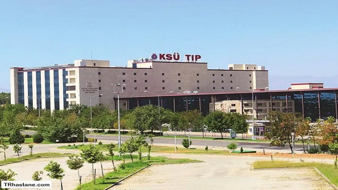 Kahramanmaraş Sütçü İmam Üniversitesi 4 farklı meslekte çalışacak personel arıyor!
