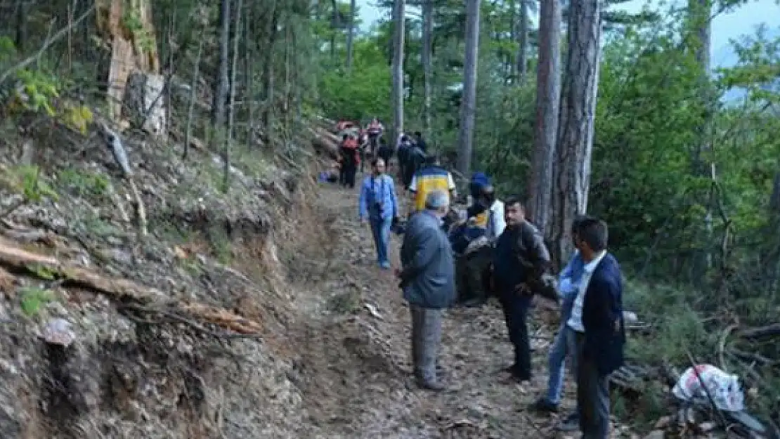 Karabük Yenice Ormanlarında Feci Olay! İşçilerin Üzerine Ağaç Devrildi! Ölü ve Yaralı Var