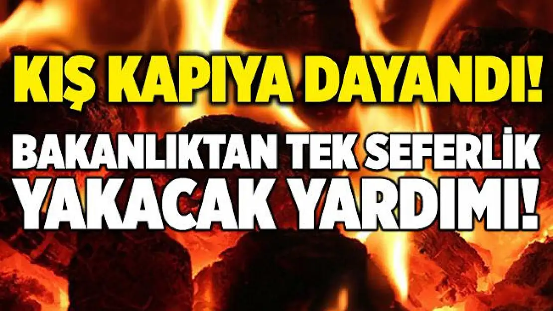 Kış kapıya dayandı! Bakanlıktan ihtiyaç sahibi ailelere tek seferlik yakacak yardımı! Yakacak yardım başvurusu 2020