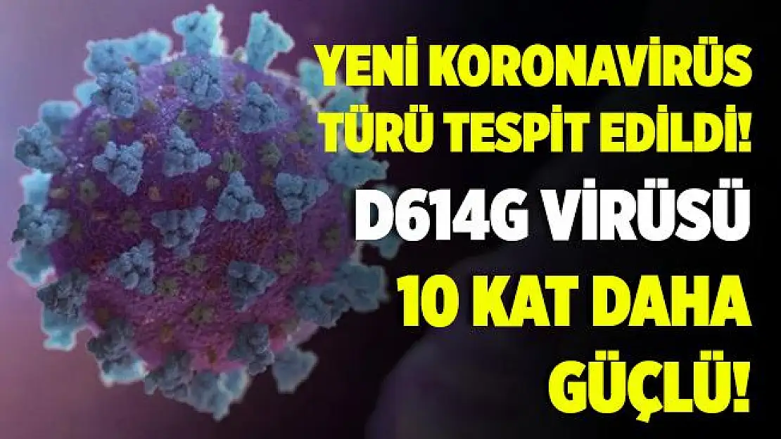 Korkulan oldu! Yeni koronavirüs tespit edildi! D614G, 10 kat daha güçlü ve tehlikeli!