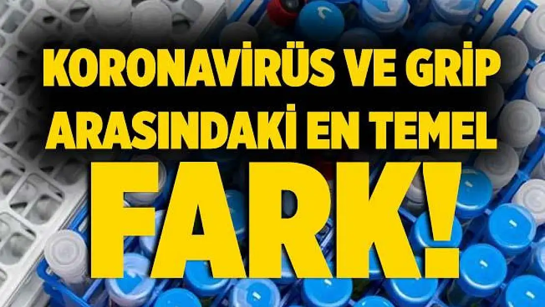 Koronavirüs ve grip nasıl ayrılır? İşte en temel belirtisi!