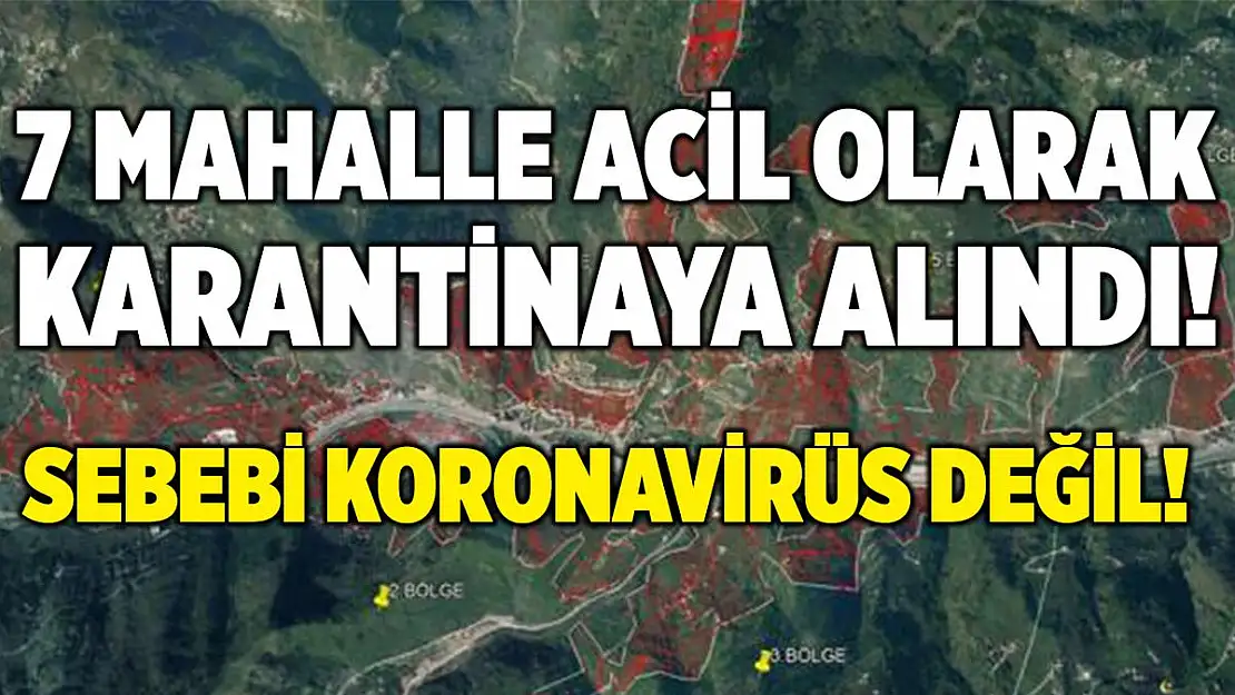 Koronavirüsten sonra Dracula Böceği alarmı! Şimdiden 7 mahalle karantinada!