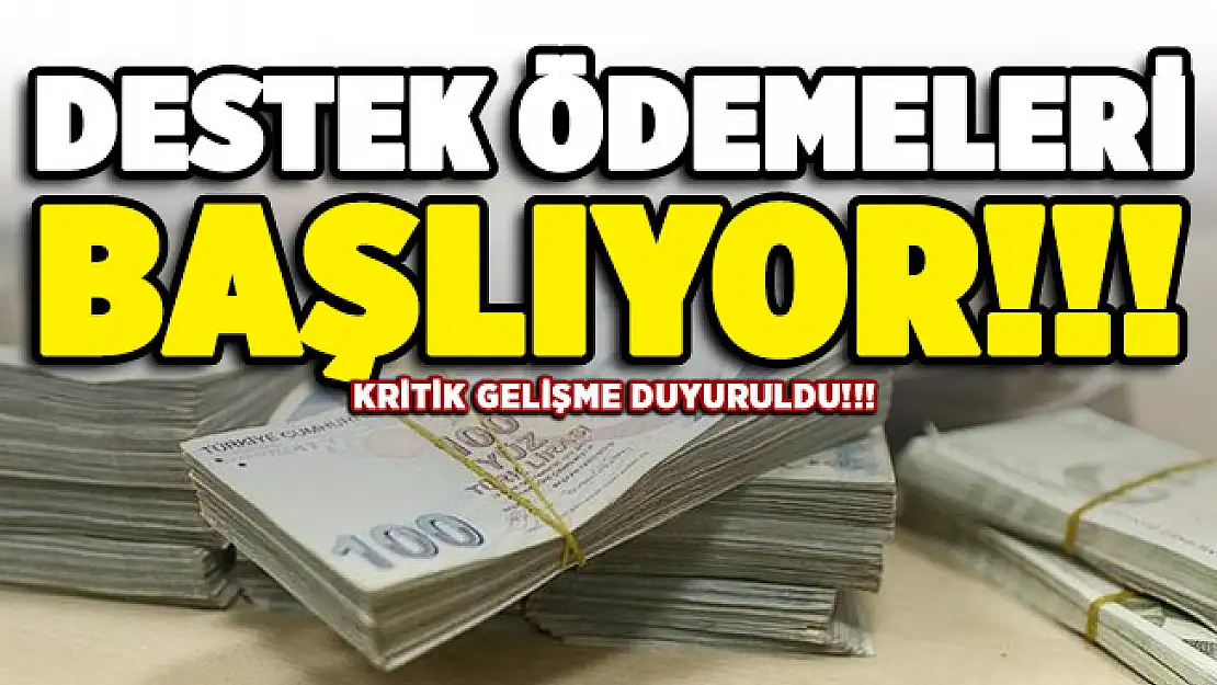 Kritik gelişme! Destek ödemeleri hesaplara yatıyor