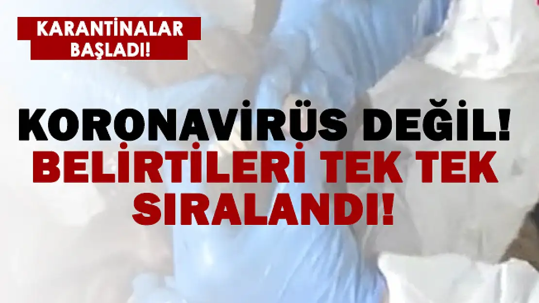 Mavi dil hastalığı yüzünden 2 mahalle karantinaya alındı! Son dakika açıklaması geldi!