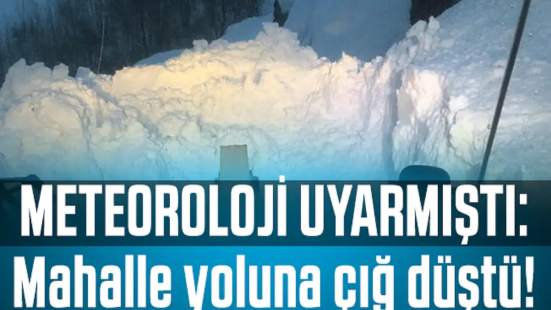 Meteoroloji uyarmıştı: Mahalle yoluna çığ düştü!